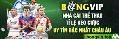 プロフィール｜bongviptop