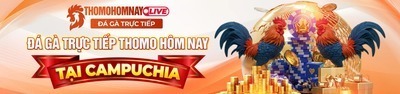 プロフィール｜Đá Gà Trực Tiếp ThoMoHomNay