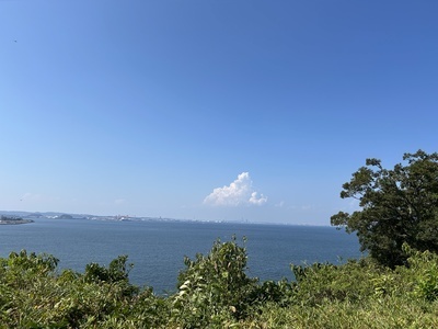 プロフィール｜横浜市民