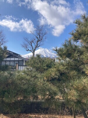 ヘッダー画像｜大人の球技大会