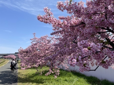 プロフィール｜Umbrella