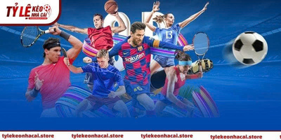 プロフィール｜tylekeonhacaistore