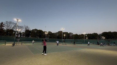 プロフィール｜レイテニ🎾