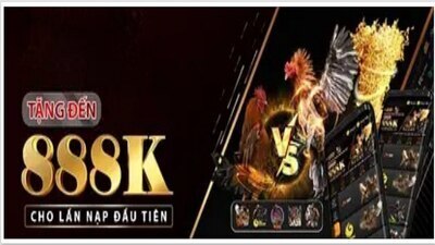 プロフィール｜Nhà cái GA365