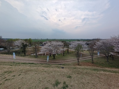 プロフィール｜大谷フォトイメージクラブ