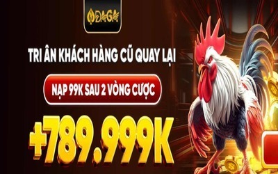 ヘッダー画像｜Trang Chủ DAGA