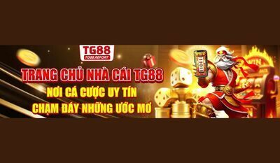 プロフィール｜tg88reportt