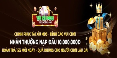 ヘッダー画像｜tài xỉu md5