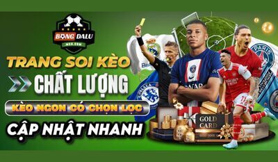 プロフィール｜bongdalumexcom