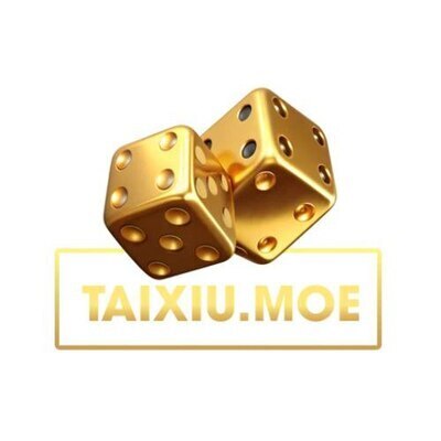 プロフィール｜Taixiu Moe