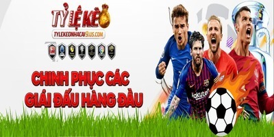 プロフィール｜Tỷ Lệ Kèo Nhà Cái