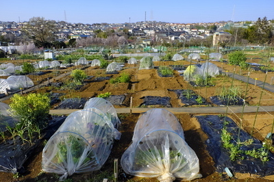 プロフィール｜家庭菜園友の会