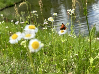 プロフィール｜カラオケ歌っちゃおう会
