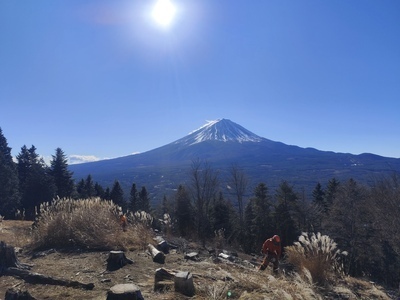 ヘッダー画像｜ビスタリー倶楽部