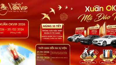 プロフィール｜fly88free