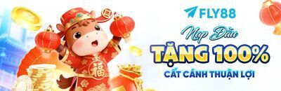 プロフィール｜FLY88