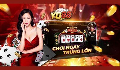 ヘッダー画像｜Yo88 Fit