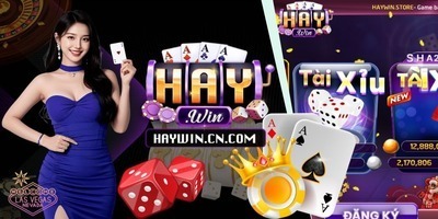 プロフィール｜Haywin Link Vào Cổng Game Bài Đổi Thưởng Hay Win Chính Thức