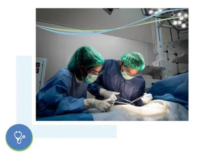 ヘッダー画像｜general gynaecologist