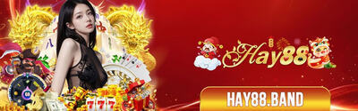 プロフィール｜Hay88 Band
