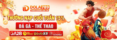 プロフィール｜DOLA789