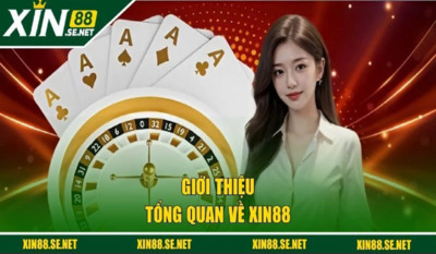 プロフィール｜xin88 kkgn