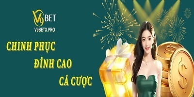 プロフィール｜V9Bet