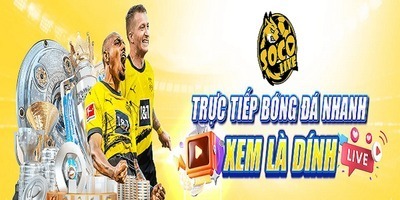 プロフィール｜Trực Tiếp Bóng Đá Socolive