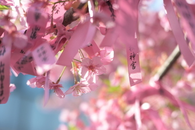 ヘッダー画像｜ゆるゆるフォトウォーク