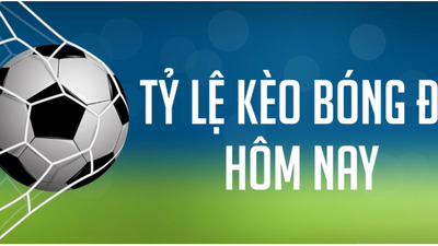 プロフィール｜ca