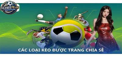 プロフィール｜tylekeo78com