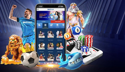 プロフィール｜CMD368