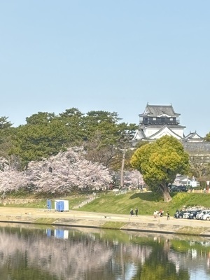 ヘッダー画像｜岡崎中総ＲＣ