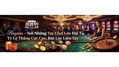 プロフィール｜Haywin