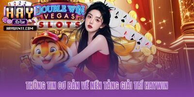 プロフィール｜HAYWIN 11COM