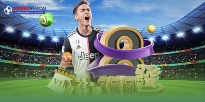 ヘッダー画像｜soikeonhacairu