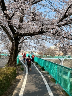 プロフィール｜HNRC東名古屋ランニングクラブ