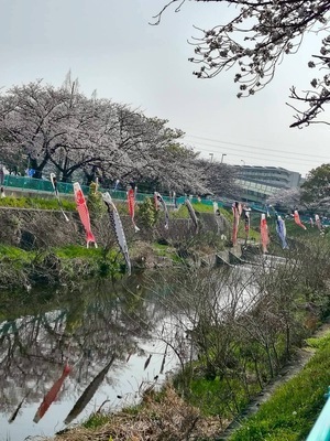 プロフィール｜HNRC東名古屋ランニングクラブ