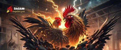 プロフィール｜daga88cospobre