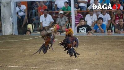 プロフィール｜daga67boete