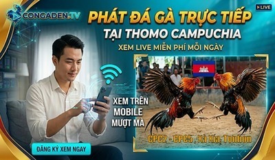 プロフィール｜CONGADEN