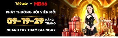 プロフィール｜a789windeal