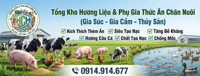 ヘッダー画像｜Phụ Gia Thức Ăn Chăn Nuôi HCM