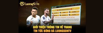 プロフィール｜luongson161tv3