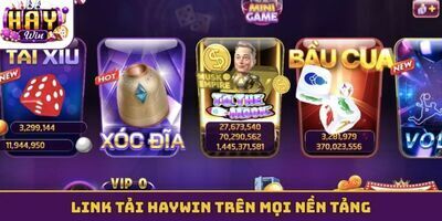 プロフィール｜haywinuscom