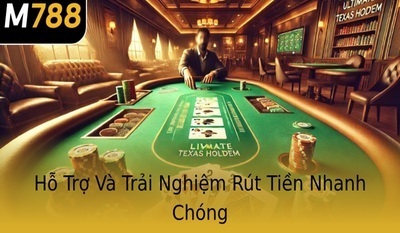 プロフィール｜m788aorg