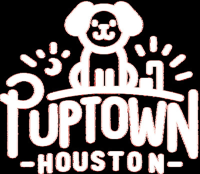プロフィール｜Puptown Houston Dog Training
