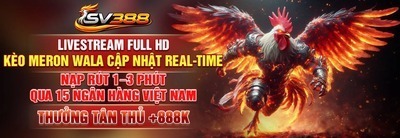 プロフィール｜sv388cr2com