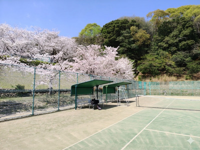 プロフィール｜朝活テニス！