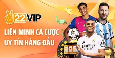 プロフィール｜VN22VIP